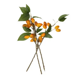 PLANTE - bochik ACCESSOIRE DECO Plante