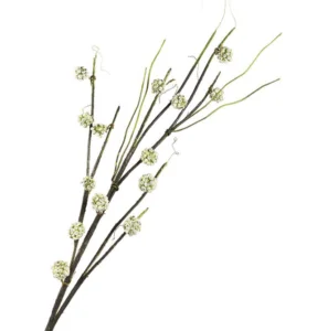 PLANTE - bochik ACCESSOIRE DECO Plante