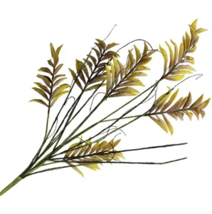 PLANTE - bochik ACCESSOIRE DECO Plante