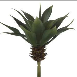 PLANTE - bochik ACCESSOIRE DECO Plante