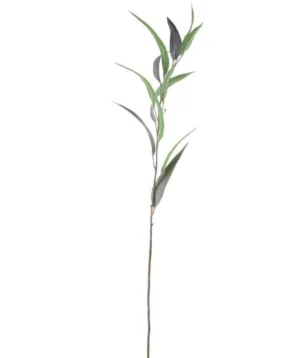 PLANTE - bochik ACCESSOIRE DECO Plante