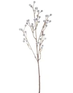 PLANTE - bochik ACCESSOIRE DECO Plante