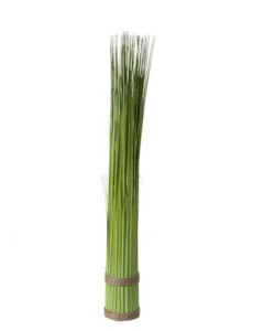 PLANTE - bochik ACCESSOIRE DECO Plante