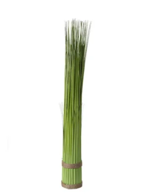 PLANTE - bochik ACCESSOIRE DECO Plante