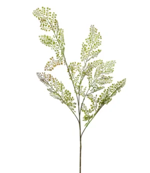 PLANTE - bochik ACCESSOIRE DECO Plante