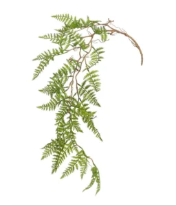 PLANTE - bochik ACCESSOIRE DECO Plante