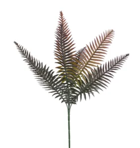 PLANTE - bochik ACCESSOIRE DECO Plante