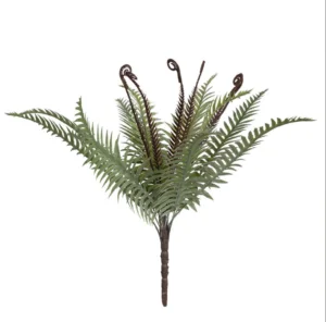 PLANTE - bochik ACCESSOIRE DECO Plante