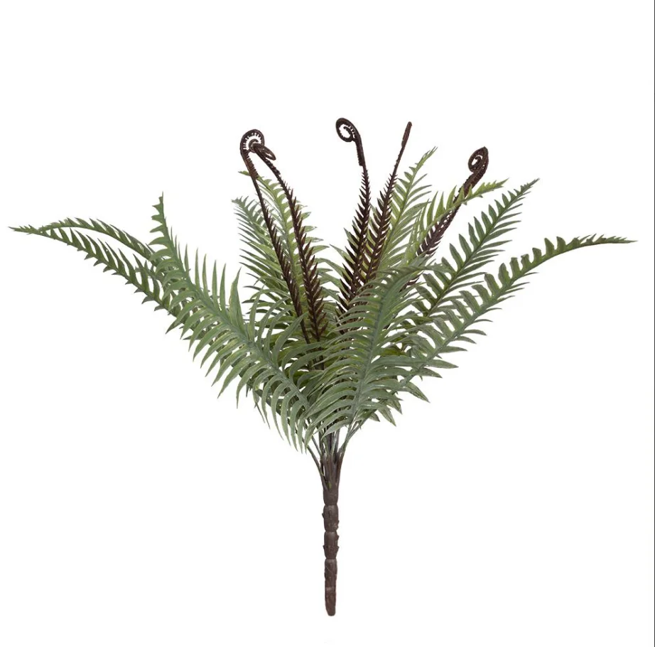 PLANTE - bochik ACCESSOIRE DECO Plante