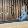 Corail – Image 2