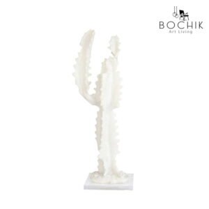 CACTUS a