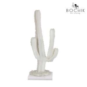 CACTUS b