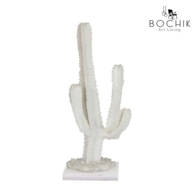 CACTUS b