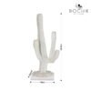 CACTUS b – Image 3