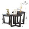 Ensemble de tables d'appoint en bois hêtre massif vernis wengue