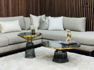 Ensemble de Tables basse design en verre trempé Gris, Dessus en Acier Inoxydable Couleur Or et plateau en verre noir avec canapé design gris