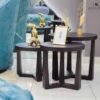 Ensemble de tables d'appoint en bois hêtre massif vernis wengue